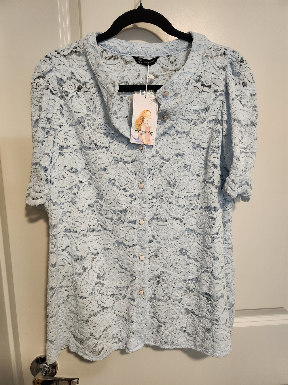 Light Blue Lace Button-Front Long Sleeve Women's Dress